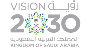 Vision Logo